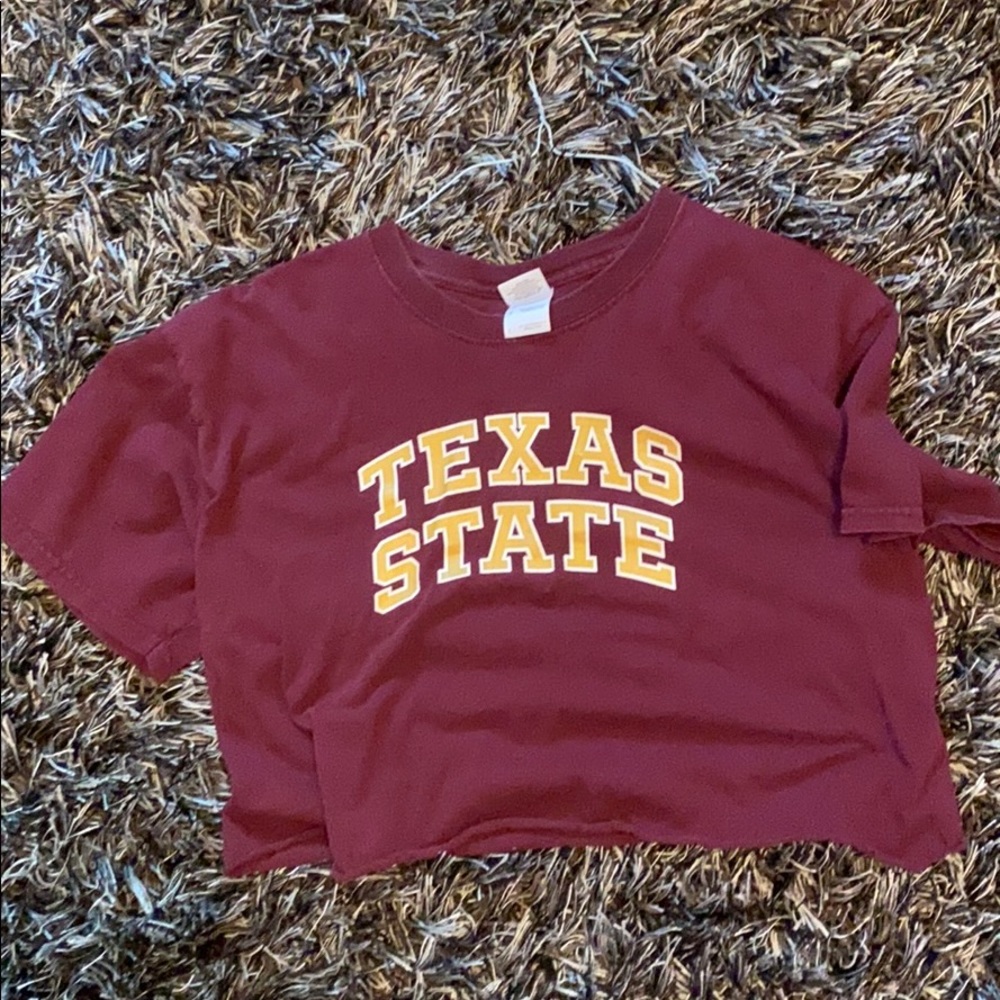 Texas state crop top